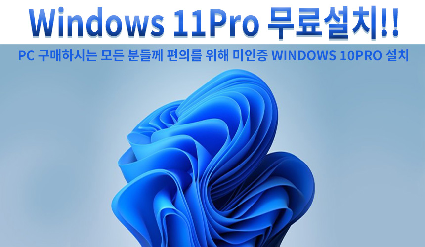 WINDOWS11PRO.jpg